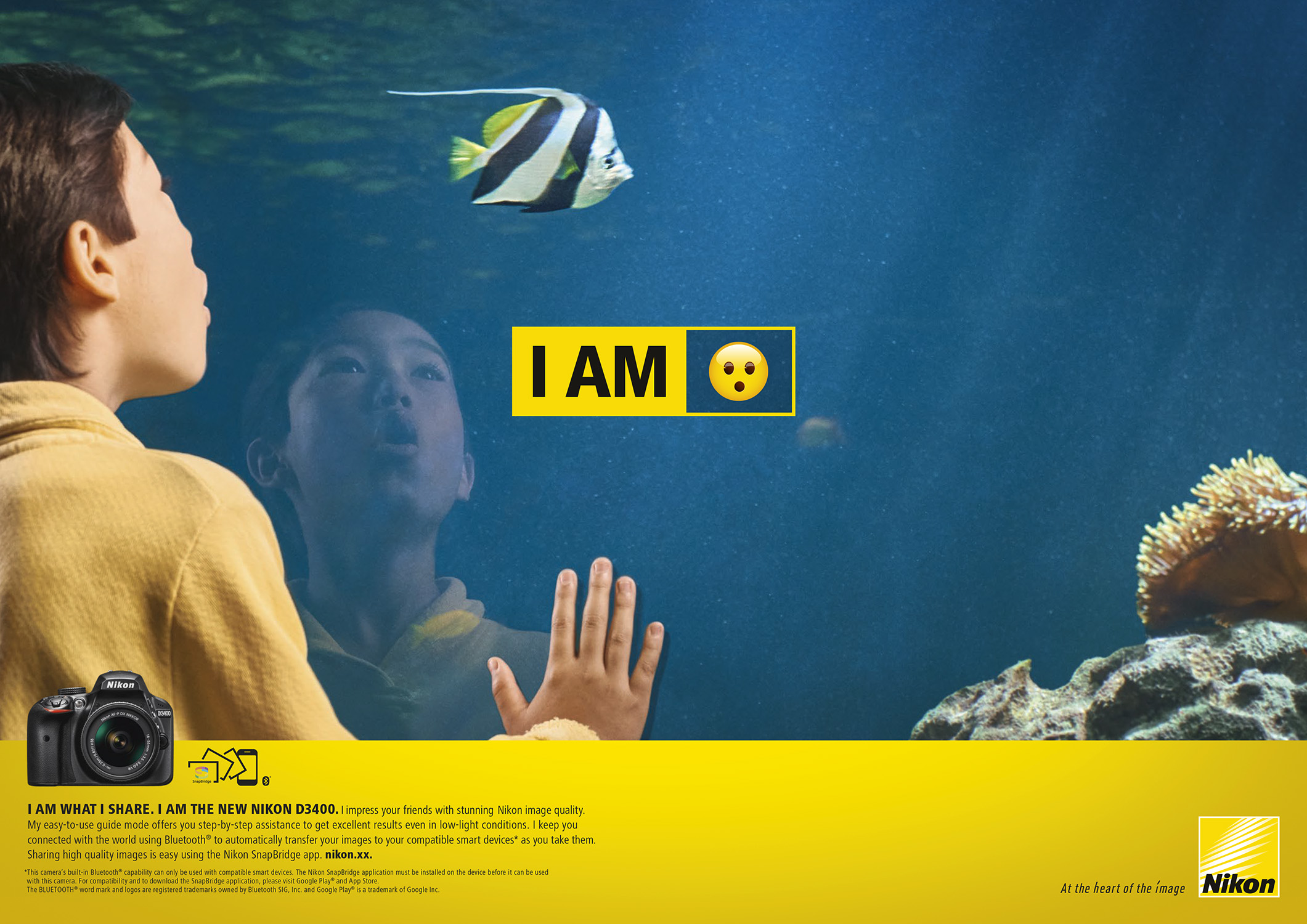 Q1480_Image_Aquarium_asian boy_DP_illustrator